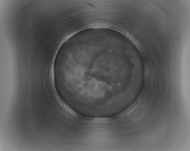 X0000112360840200908271251