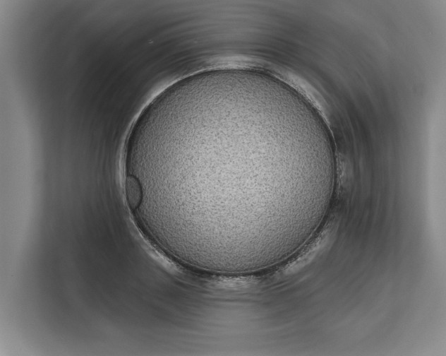 X0000112360843200908271251