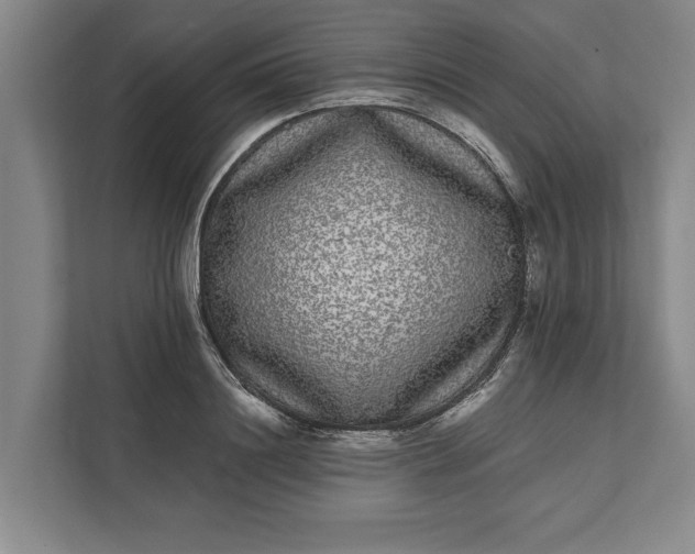 X0000112360844200908271251