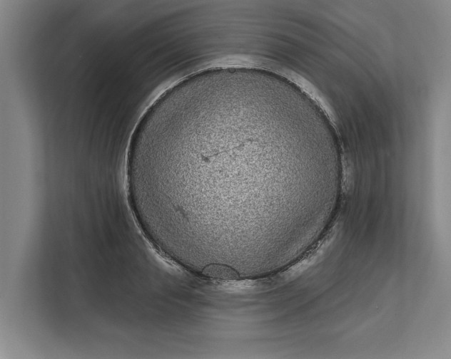 X0000112360845200908271251