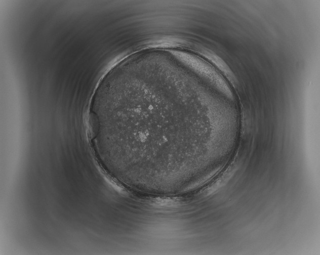 X0000112360850200908271252