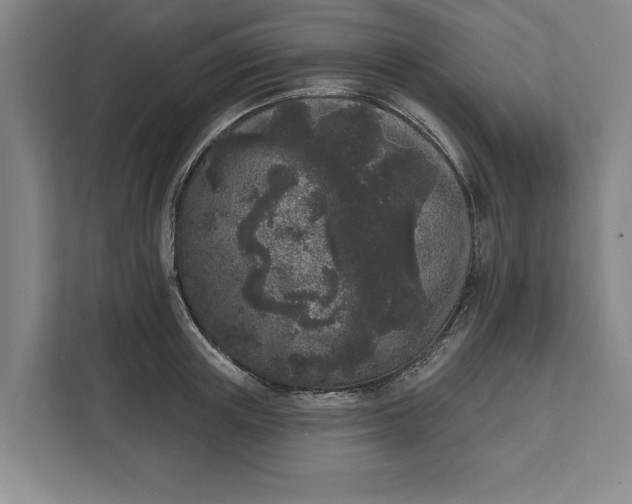 X0000112360851200908271252