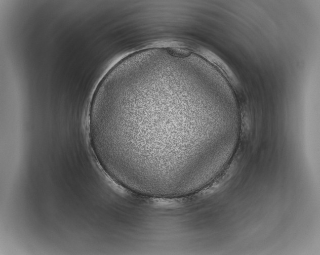 X0000112360852200908271252