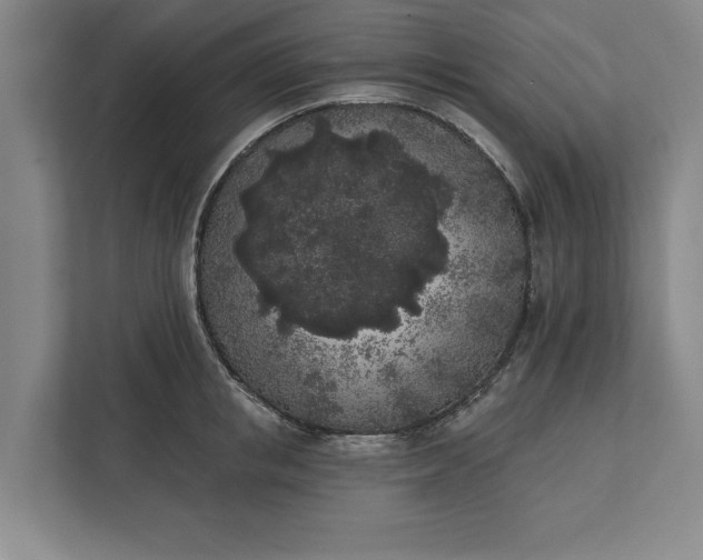 X0000112360853200908271252