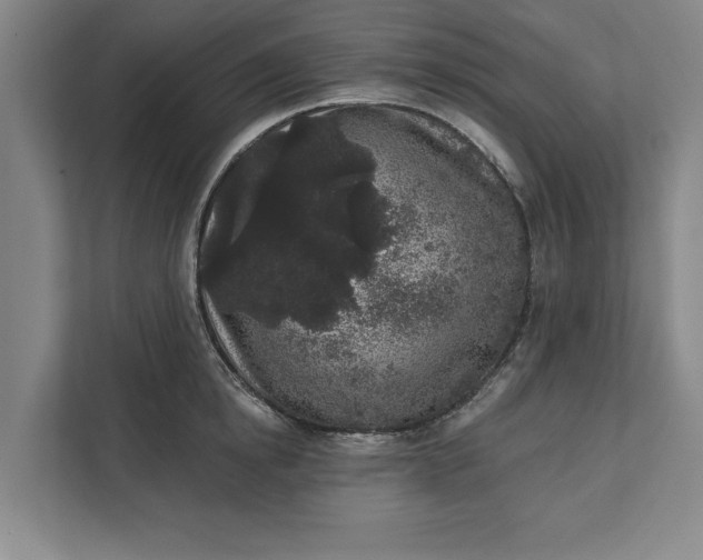 X0000112360854200908271252