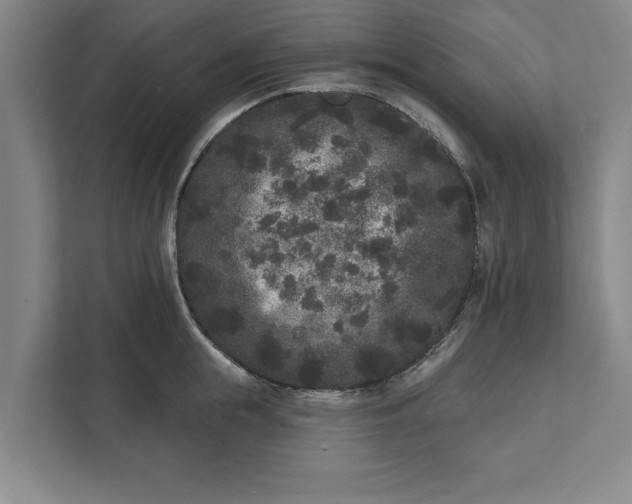 X0000112360855200908271252