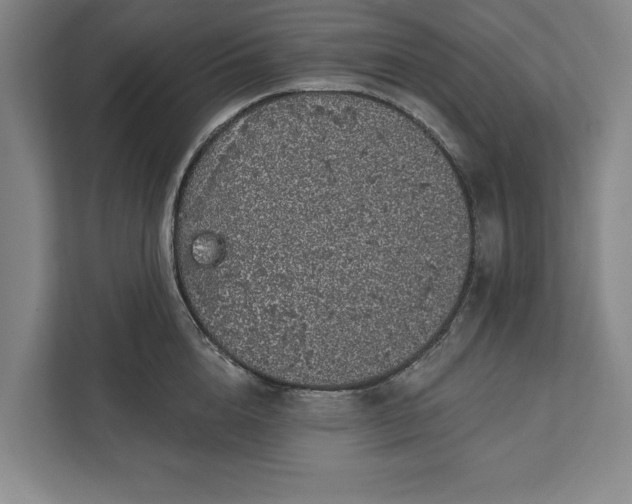 X0000112360856200908271252