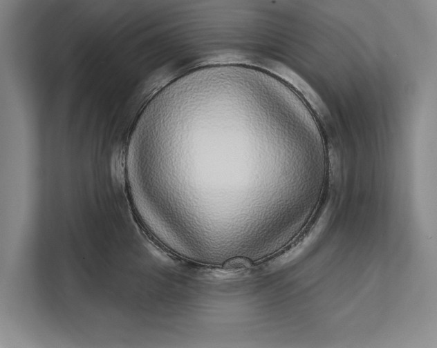 X0000112360857200908271252