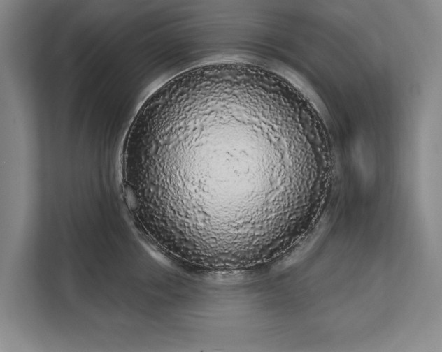 X0000112360858200908271252