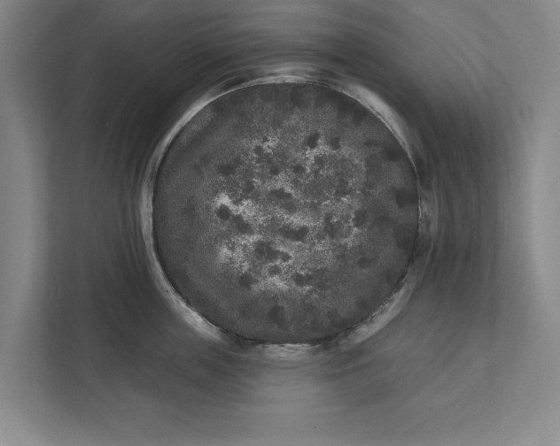 X0000112360859200908271252