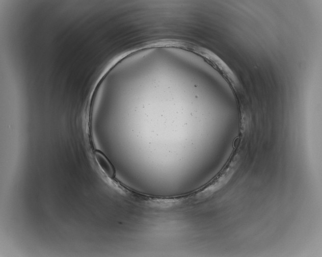 X0000112360860200908271252