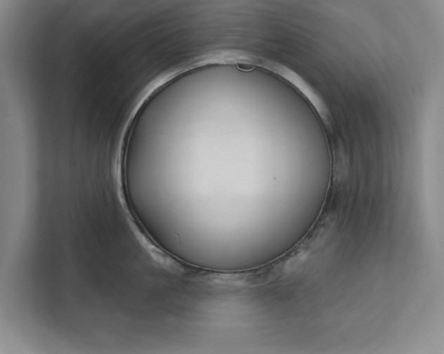 X0000112360861200908271252