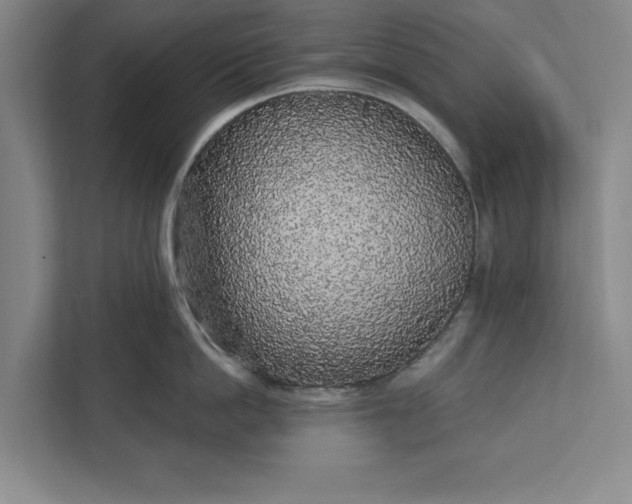 X0000112360862200908271252