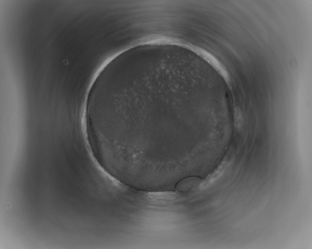 X0000112360863200908271252