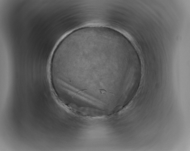 X0000112360864200908271252