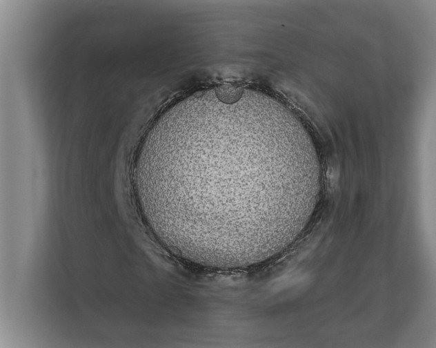 X0000112360865200908271251