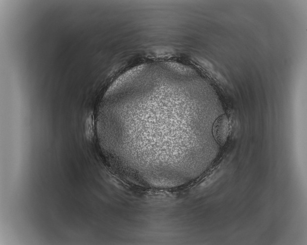 X0000112360866200908271251