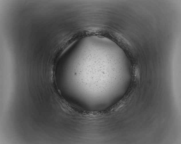 X0000112360868200908271251