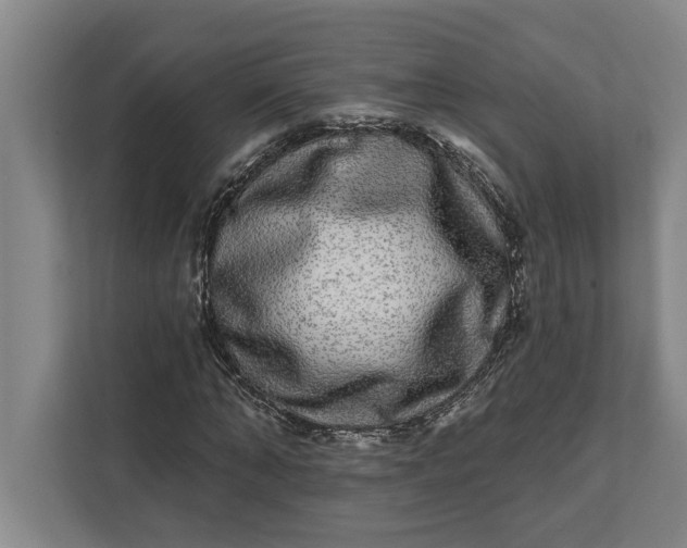 X0000112360870200908271251