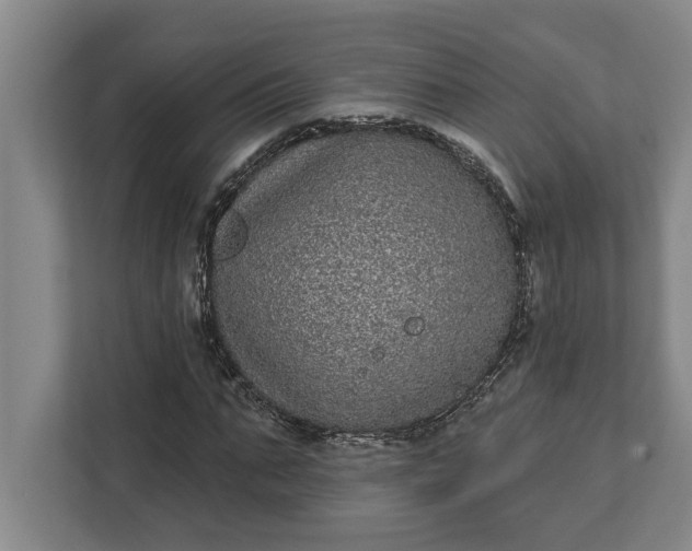 X0000112360871200908271251