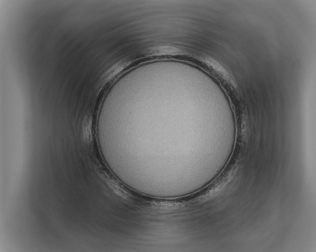 X0000112360873200908271251