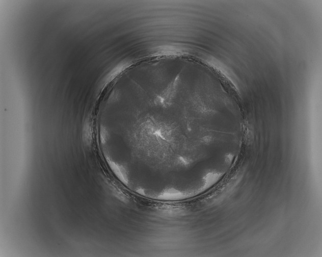 X0000112360874200908271251