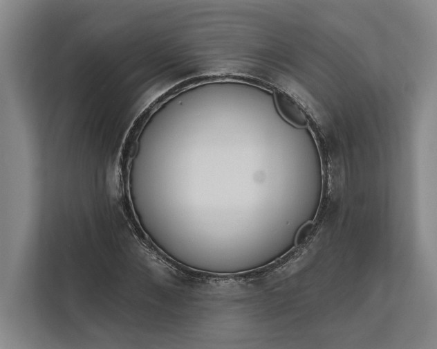 X0000112360876200908271251