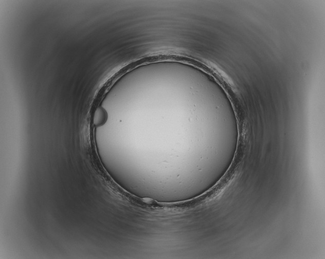 X0000112360877200908271251