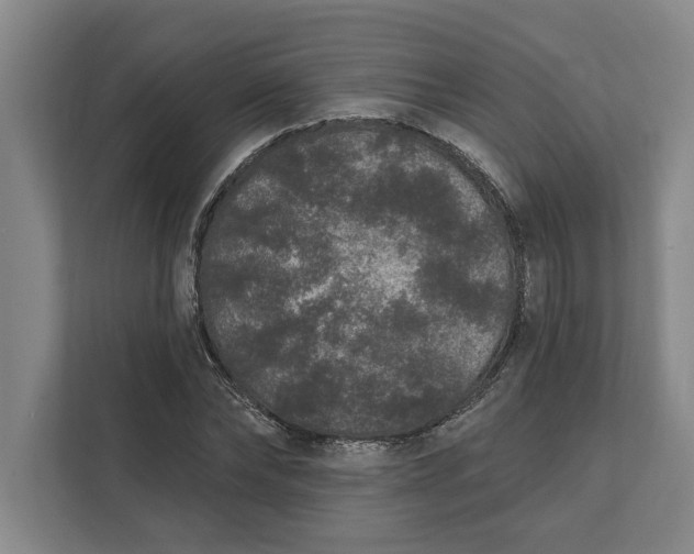 X0000112360878200908271251