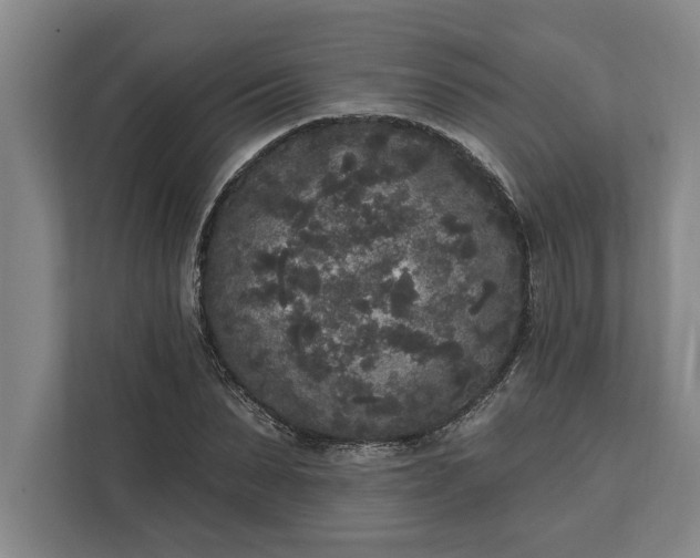 X0000112360879200908271251