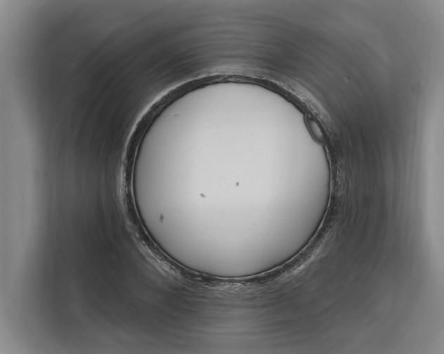 X0000112360880200908271251