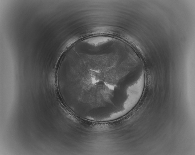 X0000112360882200908271251