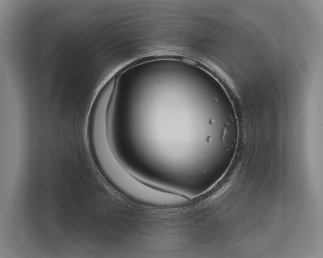 X0000112360885200908271251