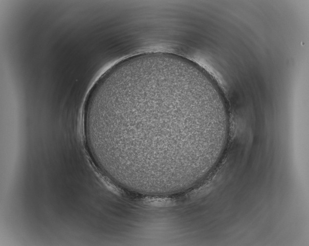 X0000112360886200908271251