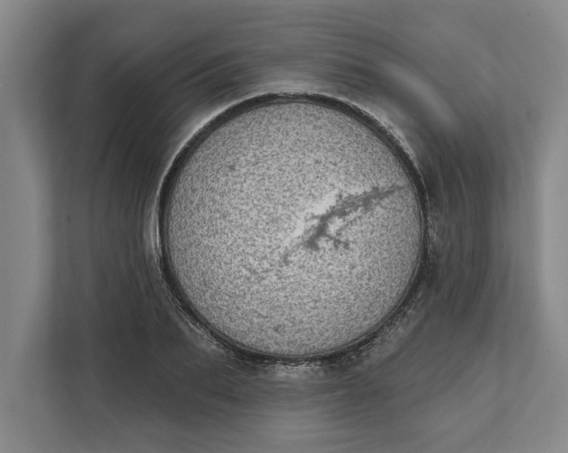 X0000112360887200908271251