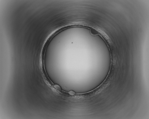 X0000112360888200908271251