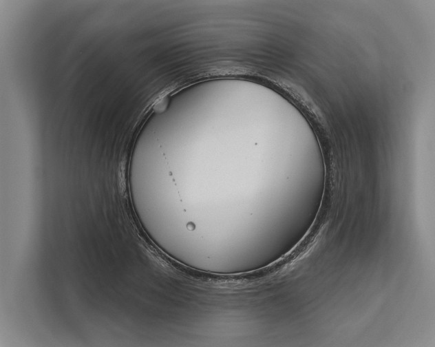 X0000112360889200908271251