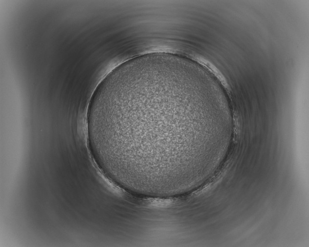 X0000112360890200908271251