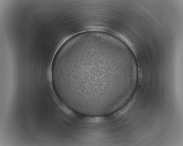 X0000112360891200908271251