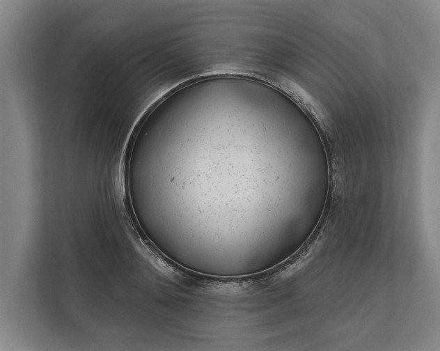 X0000112360892200908271251