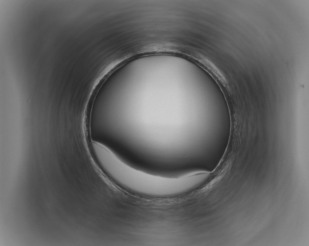 X0000112360893200908271251