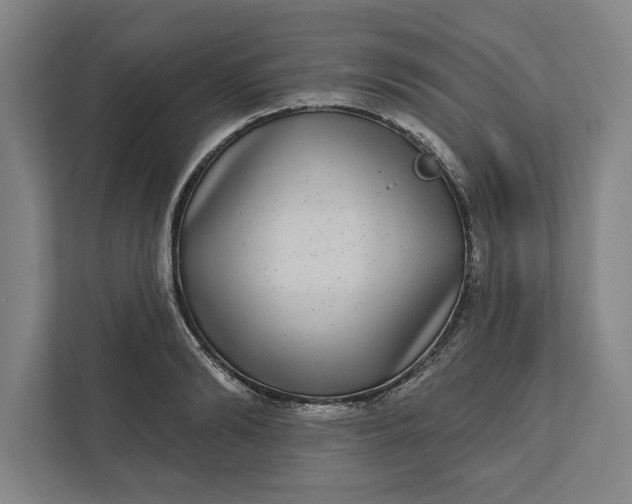 X0000112360894200908271251