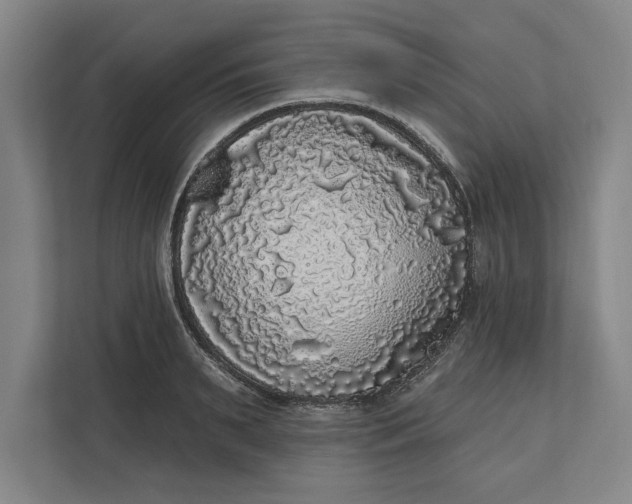 X0000112360895200908271251