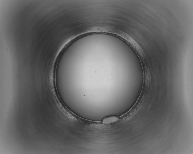 X0000112360896200908271251