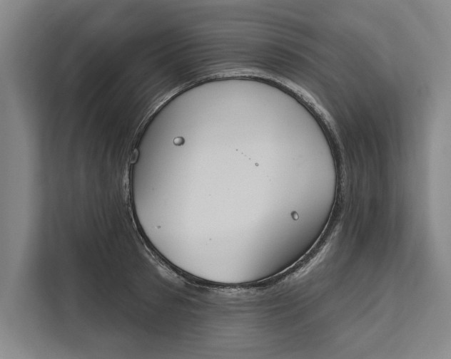 X0000112360897200908271251