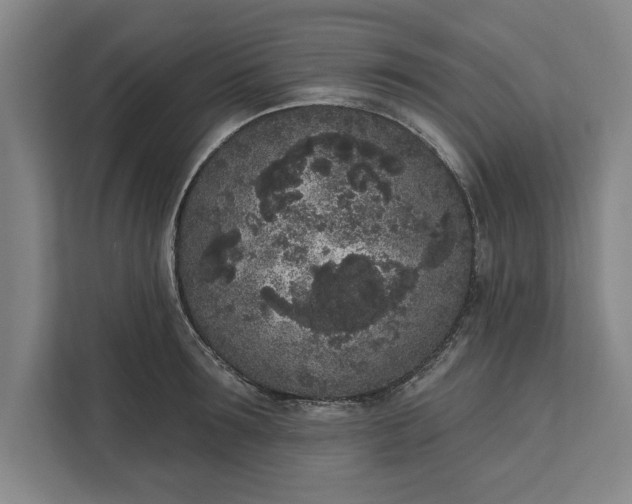 X0000112360899200908271251