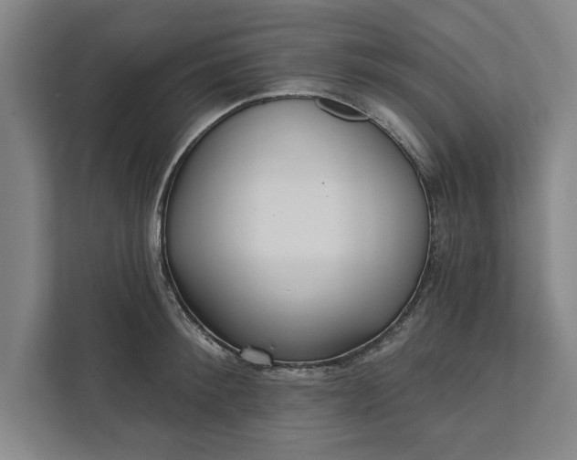 X0000112360900200908271251