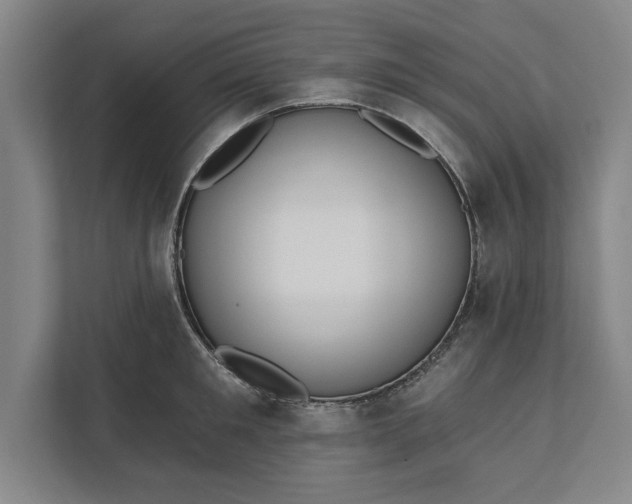 X0000112360901200908271251