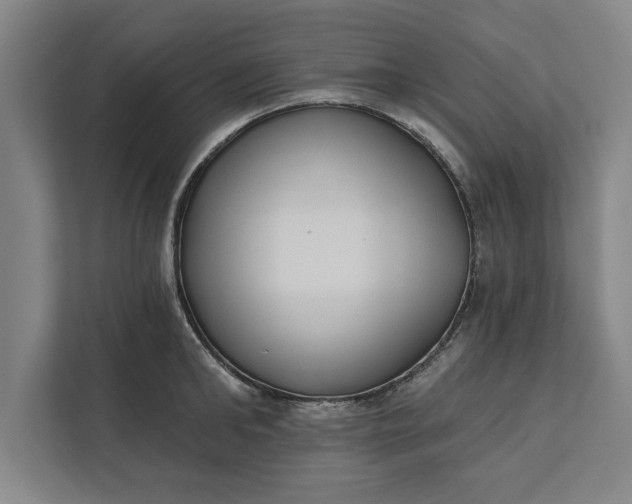 X0000112360902200908271251