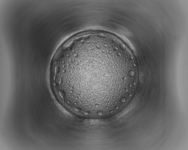 X0000112360903200908271251